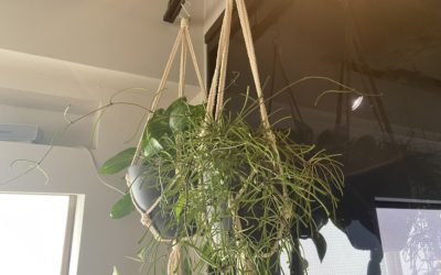 empatiのグリーン③