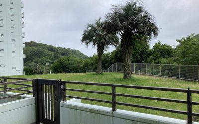 勝浦の現場から…