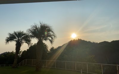 現場から届いた写真from勝浦