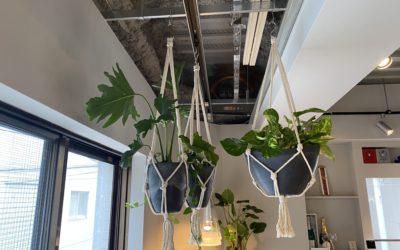 empatiのグリーン②