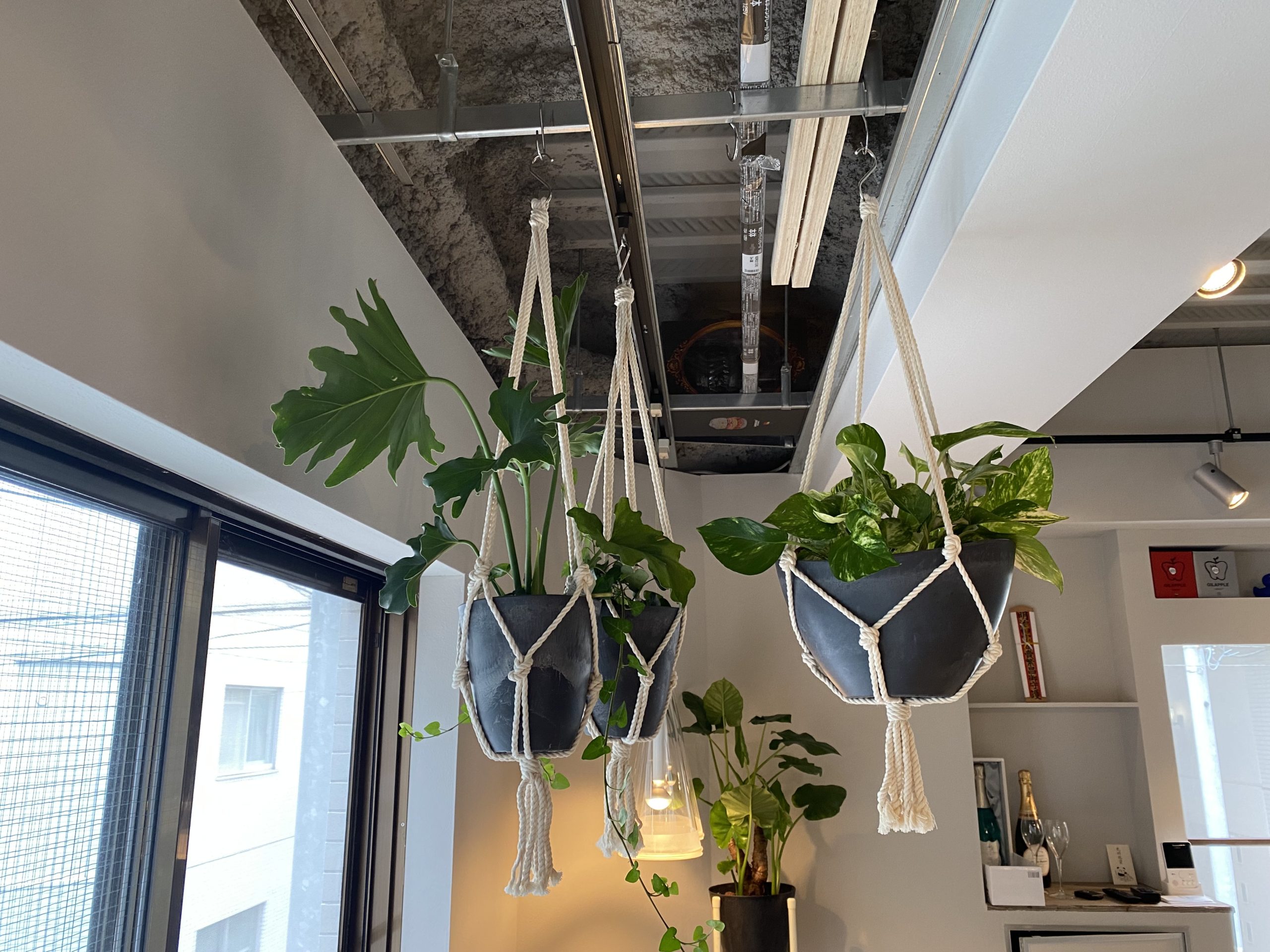 E744DE63-2178-41D6-BBC9-51880757E3EC