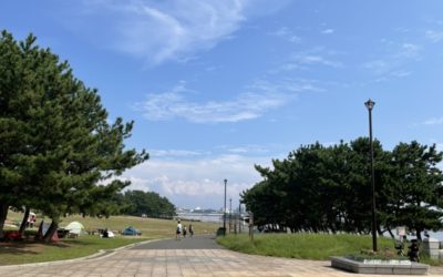 天気予報を裏切り良く晴れた土曜日！