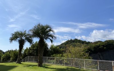 リゾートマンション＠勝浦　