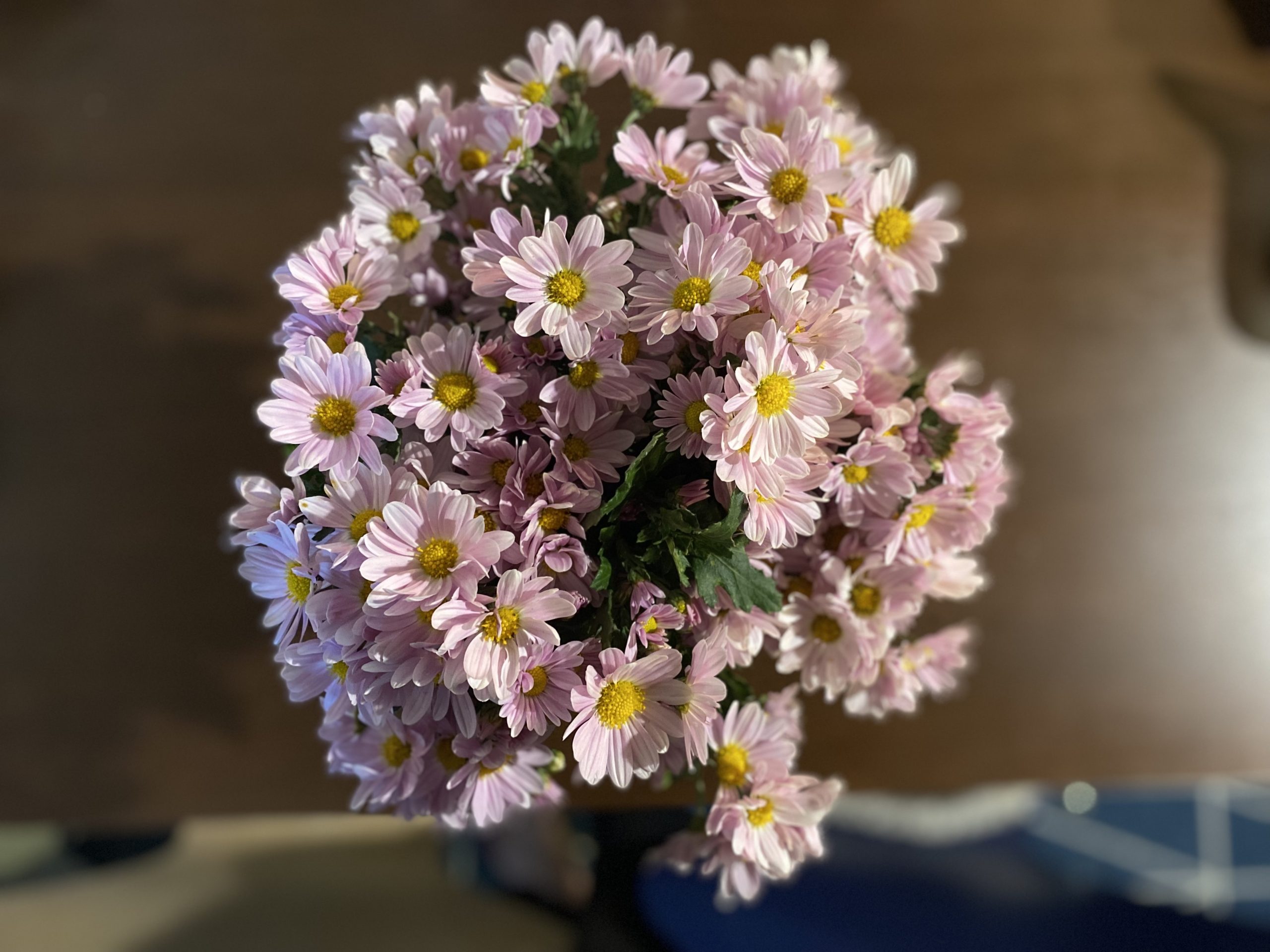 AE6CA56F-743D-4BF3-894F-C14253BE971D