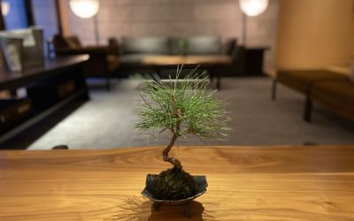 小旅行③＠日光・英国大使館別荘記念公園