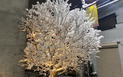 2022年2月6日、東京は雪…