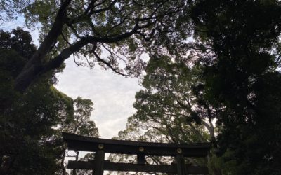 エスニックランチ＠MONSOONcafe代官山