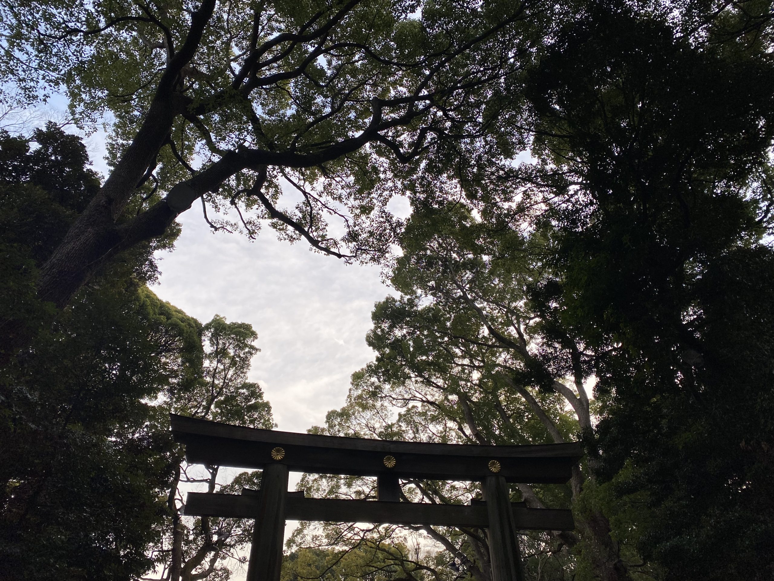 D11A9CC3-EDBE-413E-A70B-895F321CB1D8