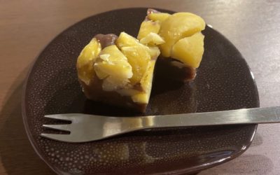 テレワーク用デスク&チェアーにいかがですか?