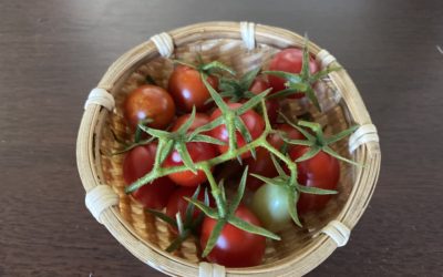 『欲張らない』リノベーション