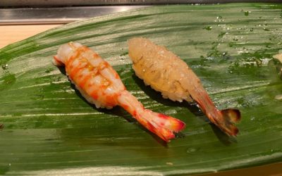 empatiのグリーンたち