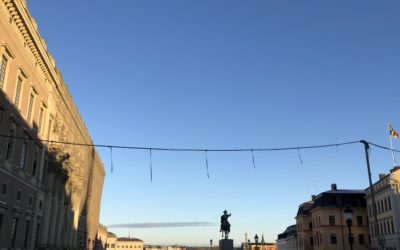 贅沢な魚介類をつかった身体に優しいフレンチ＠表参道②