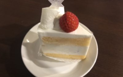 empatiのウンベラータとコーヒーの木
