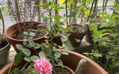 内装工事＠荻窪築古マンションリノベ