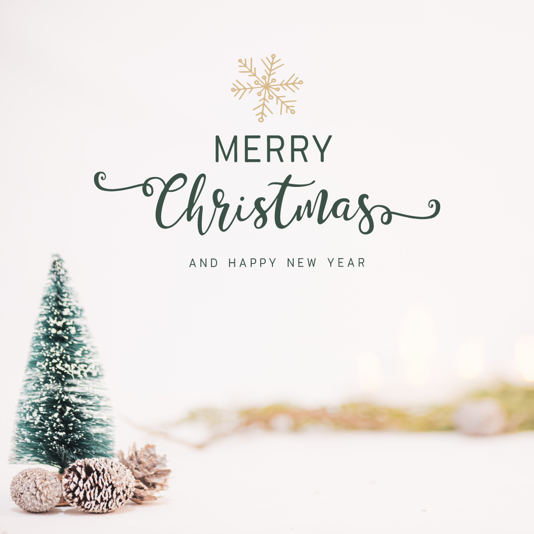 Beige Green Minimalist Christmas Instagram-Post