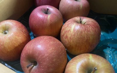 バターたっぷりタルトタタン